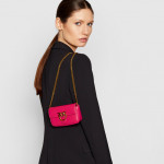 Сумка Pinko Mini Bag Logo-Plaque S1040